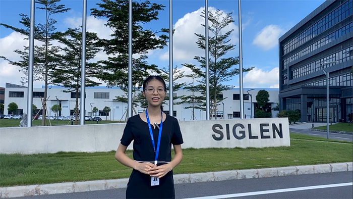 足不出戶(hù)看遍辛格林電梯工業(yè)園全貌