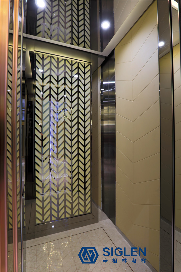 辛格林家庭電梯怎么樣，看完你就知道！