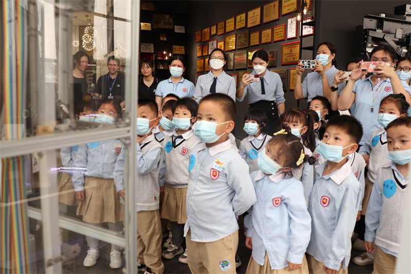 小型曳引電梯哪家好，用過都推薦辛格林