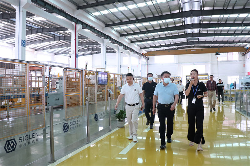 別墅家用電梯常用品牌較好？辛格林電梯是超好！