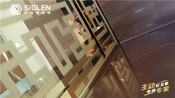 辛格林家用別墅電梯一臺多少錢，有人了解嗎？