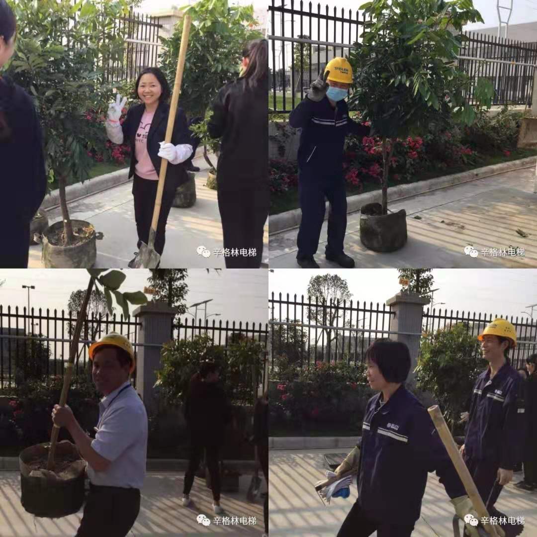 栽種活動(dòng)開始