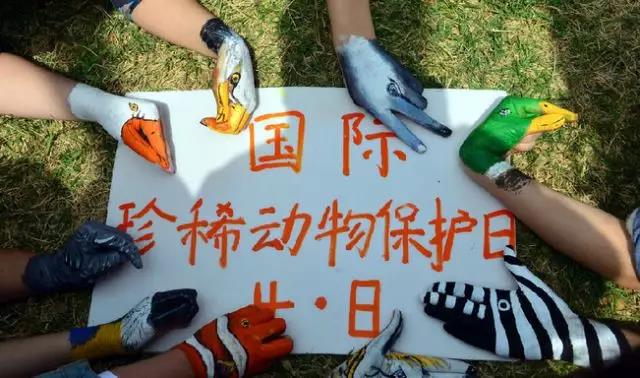 國際珍稀動物保護(hù)日