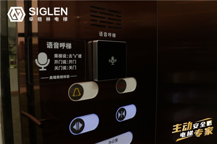 廣州家用別墅電梯 廣州家用別墅電梯