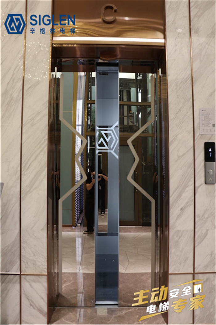 定制<a href='http://www.610300.cn/jydt.htm' class='keys' title='點(diǎn)擊查看關(guān)于家用電梯的相關(guān)信息' target='_blank'>家用電梯</a> 定制家用電梯