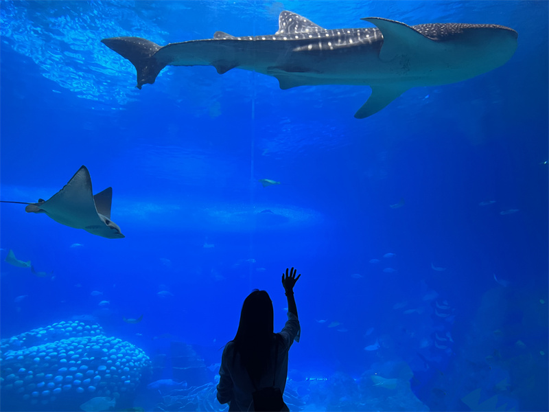 家用別墅電梯哪家好,別墅電梯哪家比較好 家用別墅電梯哪家好,別墅電梯哪家比較好