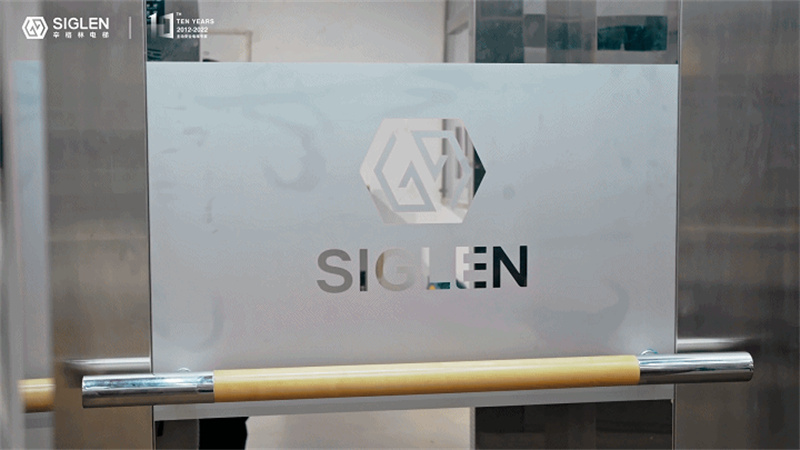 別墅無(wú)機(jī)房曳引式電梯